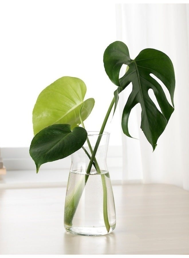 Modern Minimalist Glass Vase 1 Liter – Stylish Clear Flower Vase for Living Room, Dining Table, Kitchen Counter and Wedding Decor - Image 2